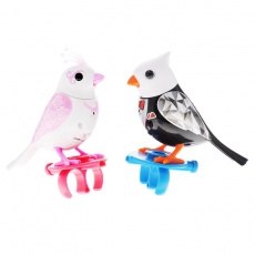 Digibirds Ptaszki para młoda 88388 OU