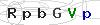 weryfikator